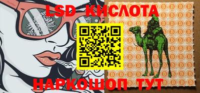 дмт Новокубанск