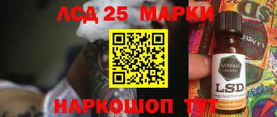 гашик Новодвинск
