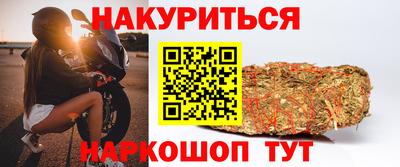 гашик Новодвинск