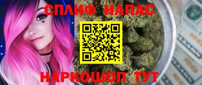 гашик Новодвинск