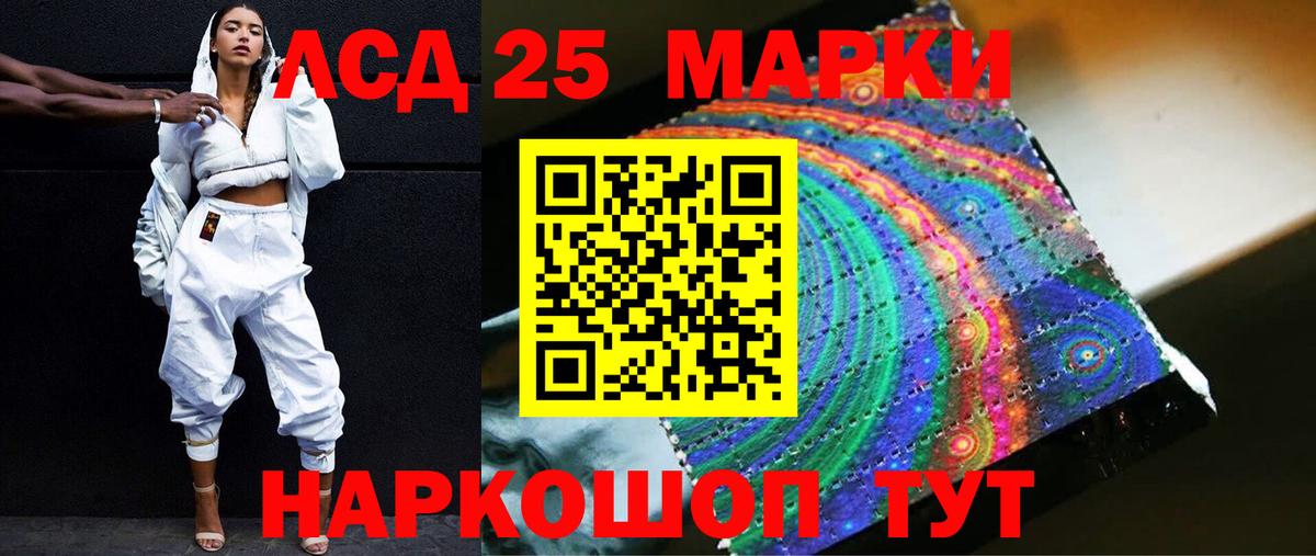 Галлюциногенные грибы Моршанск