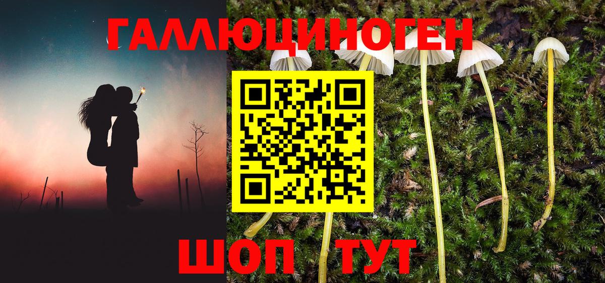 Галлюциногенные грибы Psilocybine cubensis Моршанск