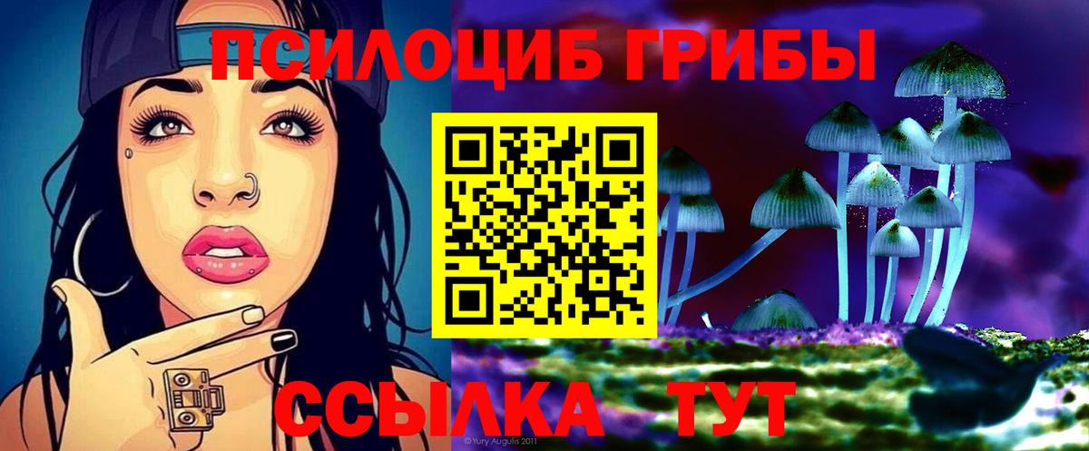 Галлюциногенные грибы MAGIC MUSHROOMS  Псилоцибиновые грибы GOLDEN TEACHER  закладки  Моршанск  Вход с VPN 